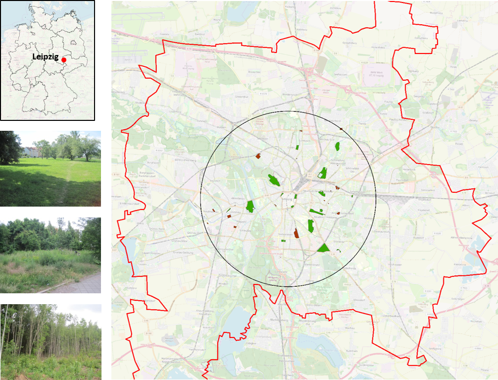 Map of the city of Leipzig and study sites in Leipzig within a 5 km radius from the city centre. We assessed ecosystem service use in 18 urban parks (green) and 18 urban brownfields (brown) with varying tree cover. Left column: Location of Leipzig in Germany, followed by examples of green brownfields with low, medium, high tree cover (from top to bottom). Map source: &copy;OpenStreetMap & contributors; Photos: J. Palliwoda
